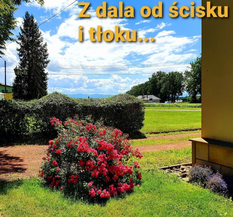 Отель Pałac Bażantarnia Пщина-6